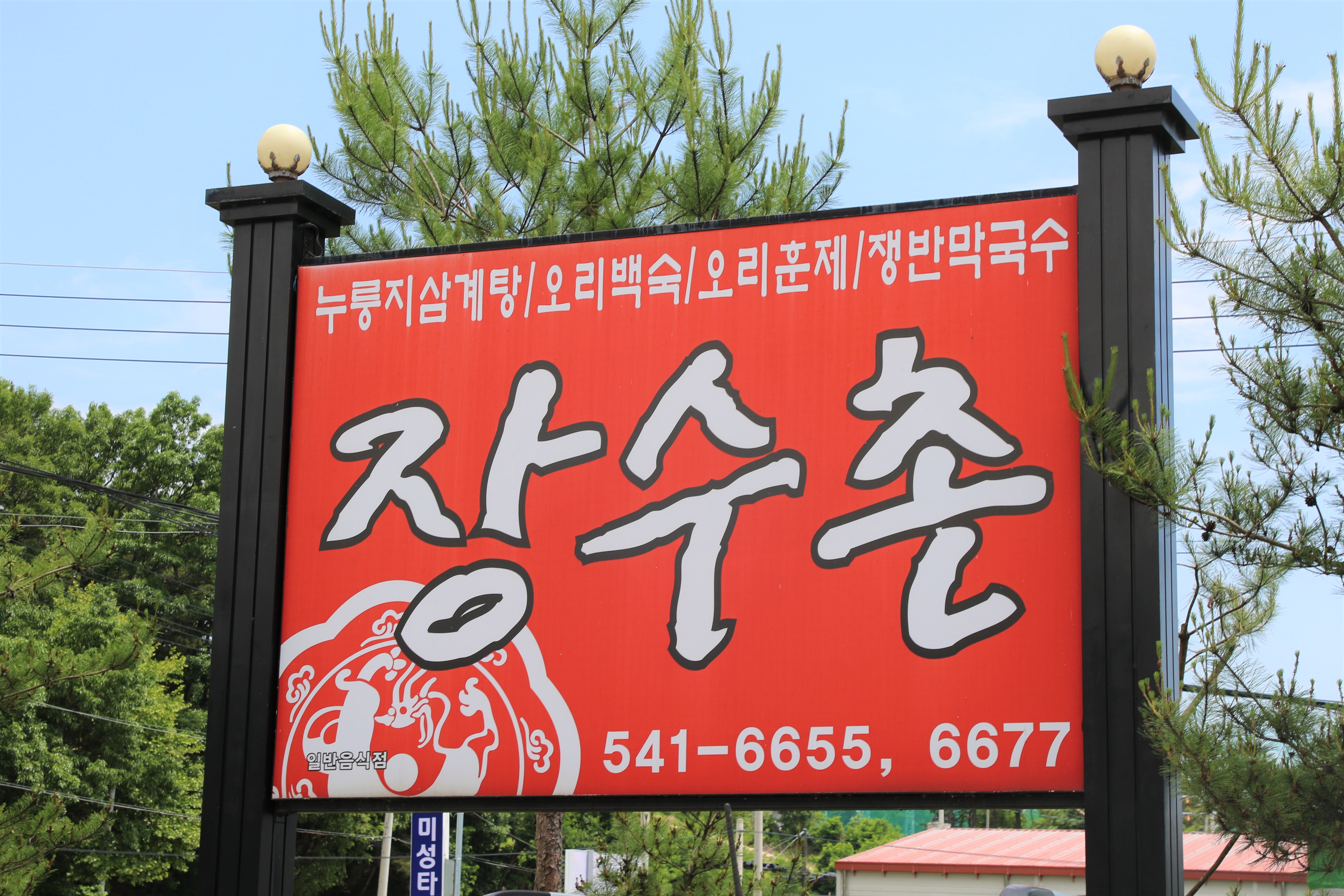 비타민하우스
